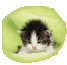 teksty