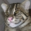 Mam nowe GG  http:  www.gadu gadu.pl... teksty