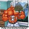 mistrzo Napisy