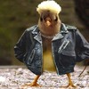 denis888 No Ale Aby Pasujesz Do Niego :P Co Ja Nic Nie Wiem :P Nawet Nie zaczynalem :P Co Jaa:P No WlasnieKoniec z Chlopakami :P:P p Paulinko Psecies Piotrek Cie Kocha P