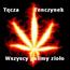 http:  tomi muza.wrzuta.pl audio... teksty