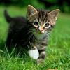 Sylwia222 Napisy
