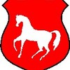 a.n.drzej Napisy