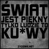 swiattokurwa Napisy
