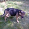 gorzka63 Napisy