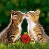gigilove999 Napisy
