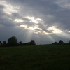 dzastina.b Napisy