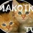http:  makotki tv.blogspot.com  teksty