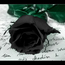 blackrose007