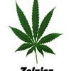 zolniez666 Napisy