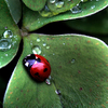 tears_in_heaven Chyba ustaliłam sobie złe priorytety... Dlaczego przejmuję się Tobą skoro jeszcze nie wiem co w życiu robić z czego pisać maturę i gdzie iść na studia... Mam je