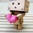 danbo