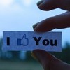 loffki 