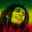 Ja mam reggae wydrapane w sercu  jak... teksty