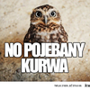 popohaha Tylko szkoda że to ona. Wiecznie coś zmyśla .